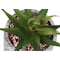 Monarch Specialties Artificial Plant 6" Tall Succulent, Indoor, Faux, Fake, Table, Greenery, Potted Set Of 2, Decorative I 9586 - alternate 5